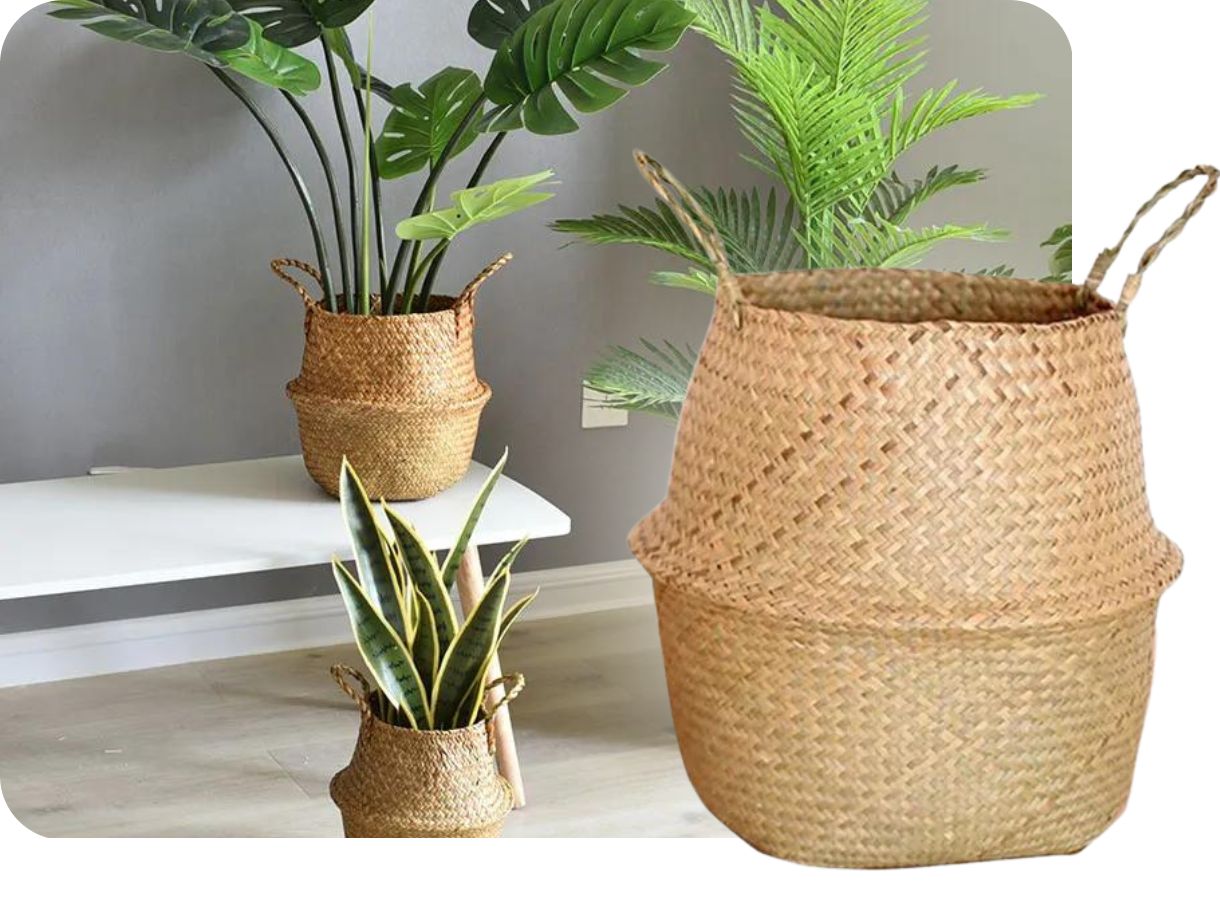 Enhance Your Garden Oasis