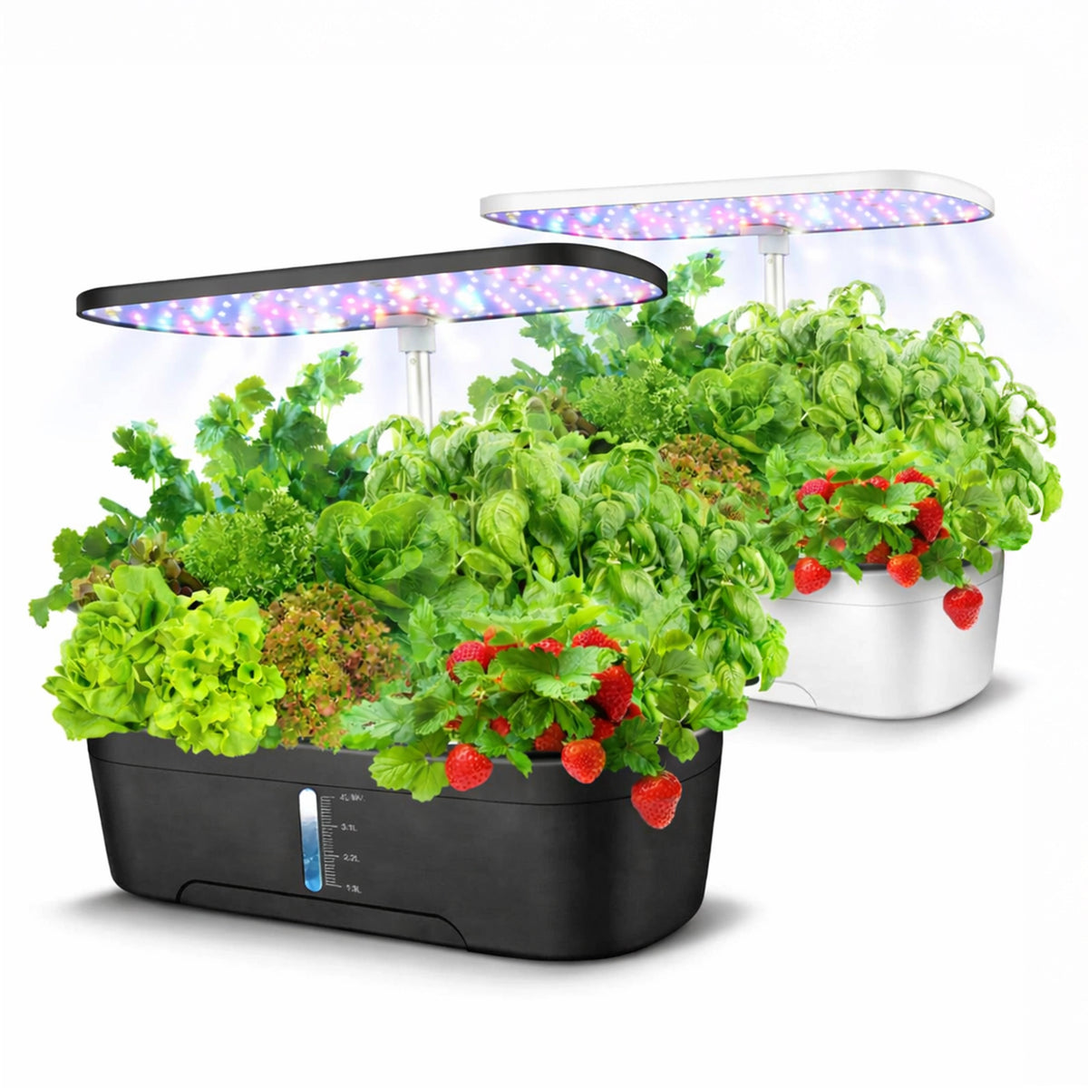 Garden Hydroponic Growing System